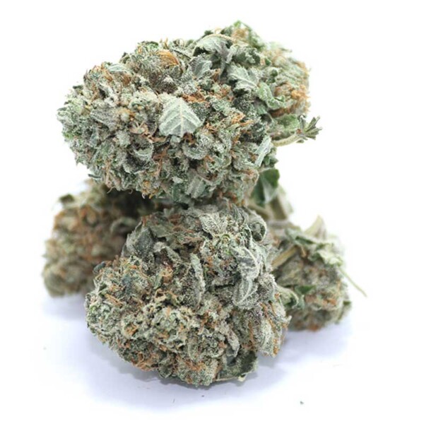 $100 OG Cannabis Seeds - Image 2