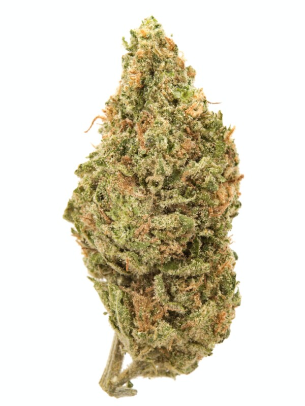 13 Dawgs Cannabis Seeds - Image 2