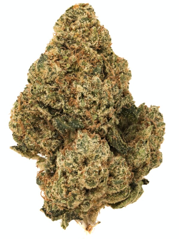 3X Crazy Cannabis Seeds - Image 2