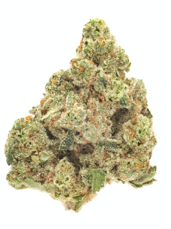 24k Gold Cannabis Seeds - Image 2