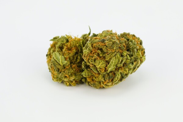 5th Element Cannabis Seeds - Image 2
