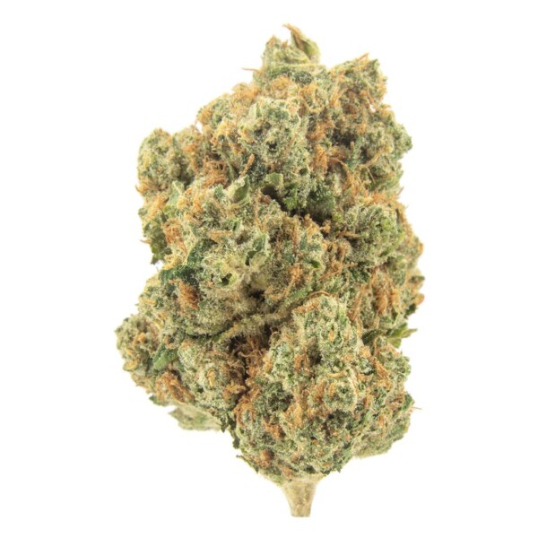 707 Headband Cannabis Seeds - Image 2
