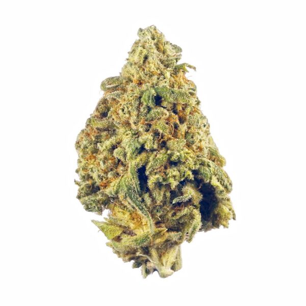 9 Pound Hammer Cannabis Seeds - Image 2