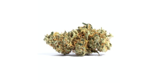 Amnesia Cannabis Seeds - Image 2