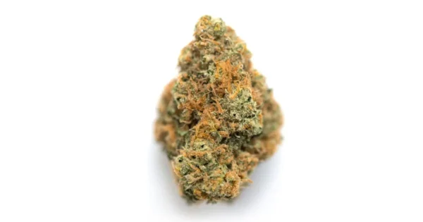 Aberdeen Cannabis Seeds - Image 2