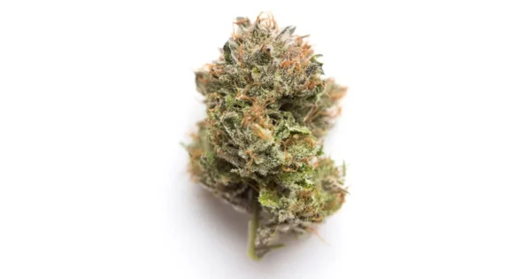Afpak Cannabis Seeds - Image 2