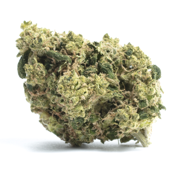 Agent Tangie Cannabis Seeds - Image 2