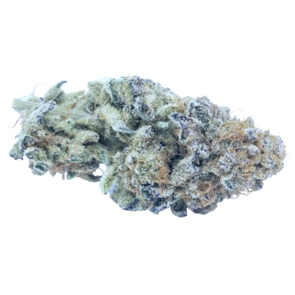 Alpine Blue Cannabis Seeds - Image 2