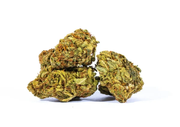 Ambrosia Cannabis Seeds - Image 2