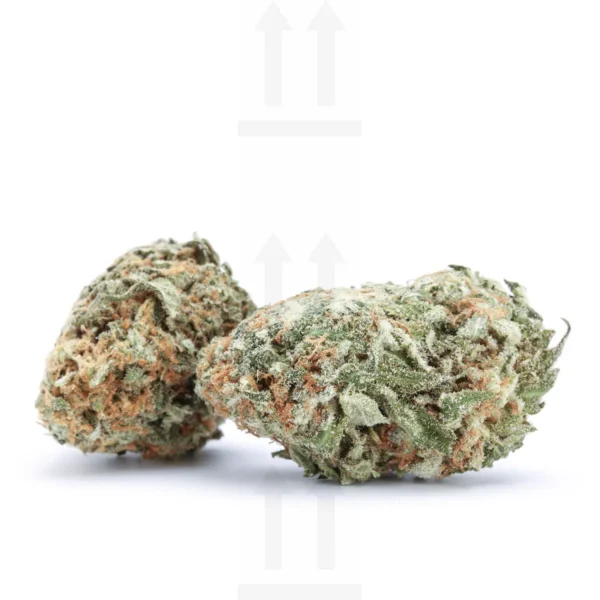 Amherst Diesel Cannabis Seeds - Image 2
