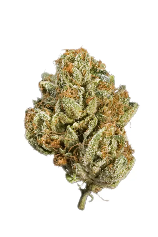 Ancient OG Cannabis Seeds - Image 2