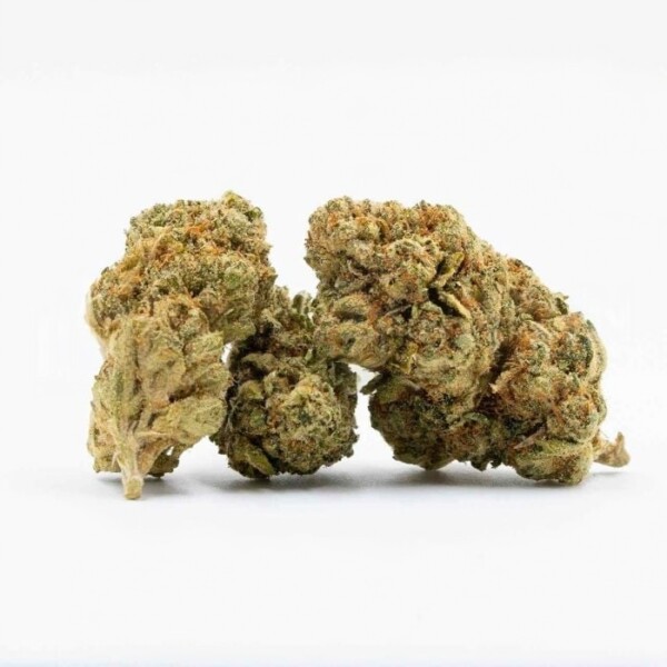 Badazz Cheese Cannabis Seeds - Image 2