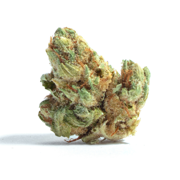 Bakerstreet Cannabis Seeds - Image 2