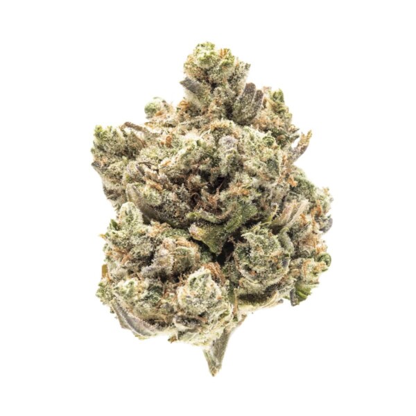 Banana OG Cannabis Seeds - Image 2
