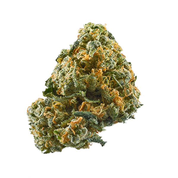 Bandana Cannabis Seeds - Image 2