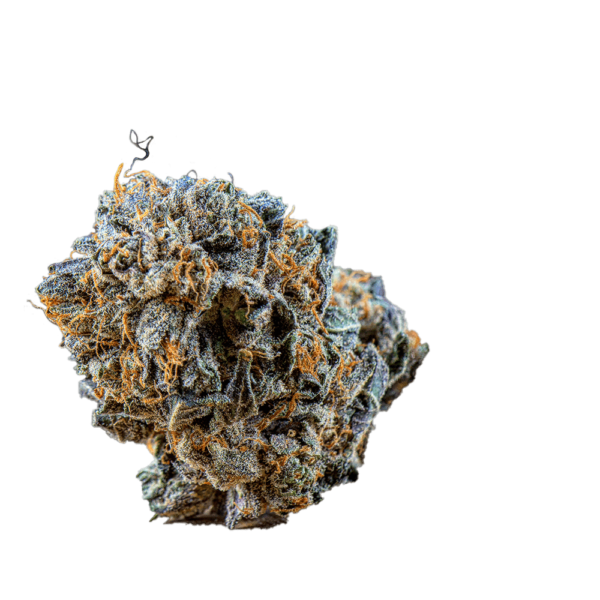 Berry Noir Cannabis Seeds - Image 2