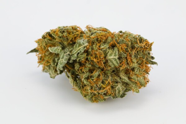 Big Bang Cannabis Seeds - Image 2