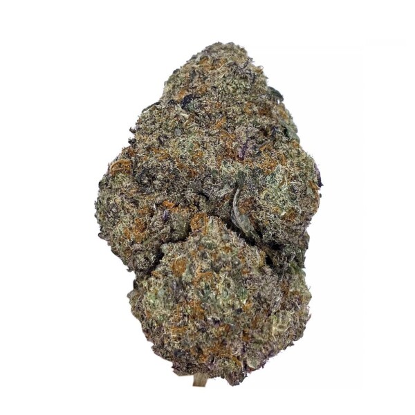 Black Cherry Soda Cannabis Seeds - Image 2