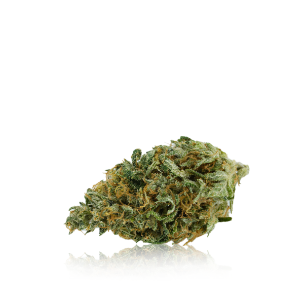 Black Russian Cannabis Seeds - Image 2