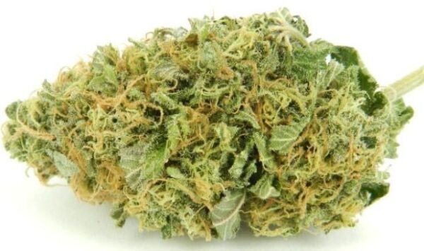 Blackberry Bubble Cannabis Seeds - Image 2