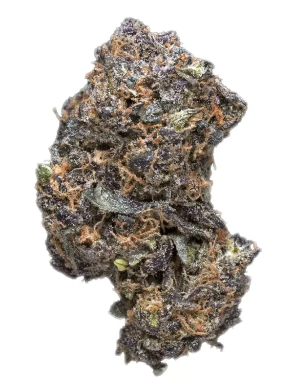 Blackberry Hashplant Cannabis Seeds - Image 2