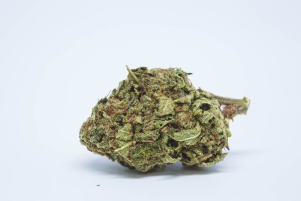 Blue Hawaiian Cannabis Seeds - Image 2