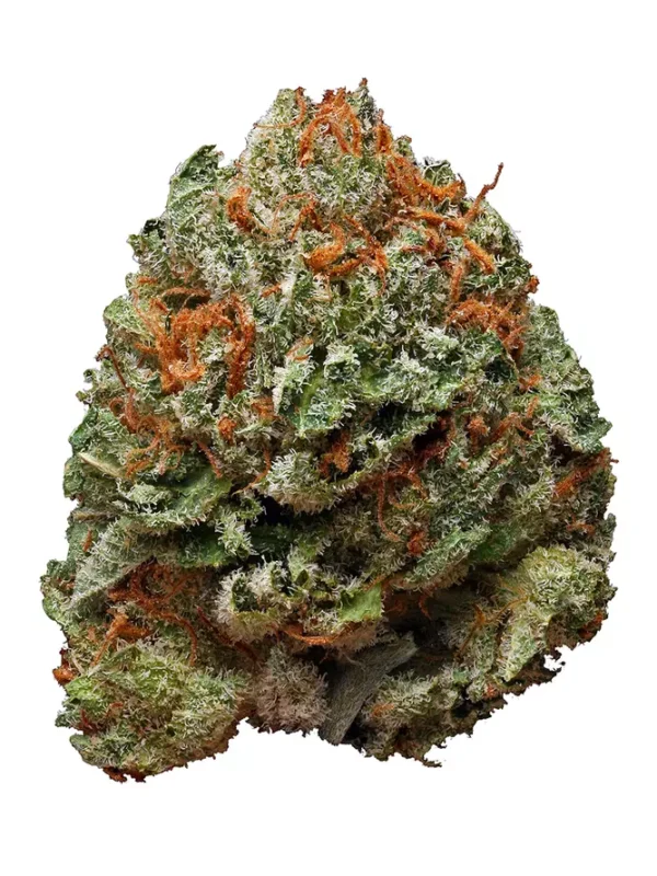 Bubba Kush Cannabis Seeds - Image 2