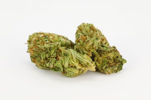 Chronic Cannabis Seeds - Image 2