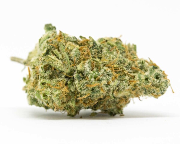Cinderella 99 Cannabis Seeds - Image 2