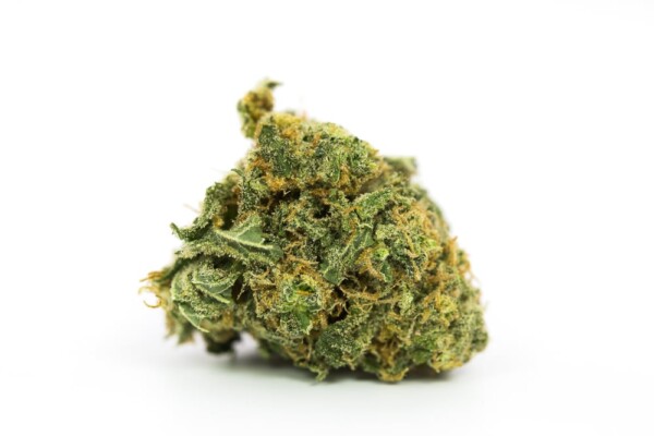 Cookies and Cream Cannabis Seeds - Image 2