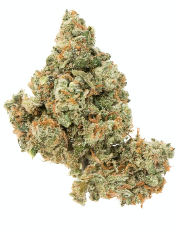 Jack Herer Cannabis Seeds - Image 2