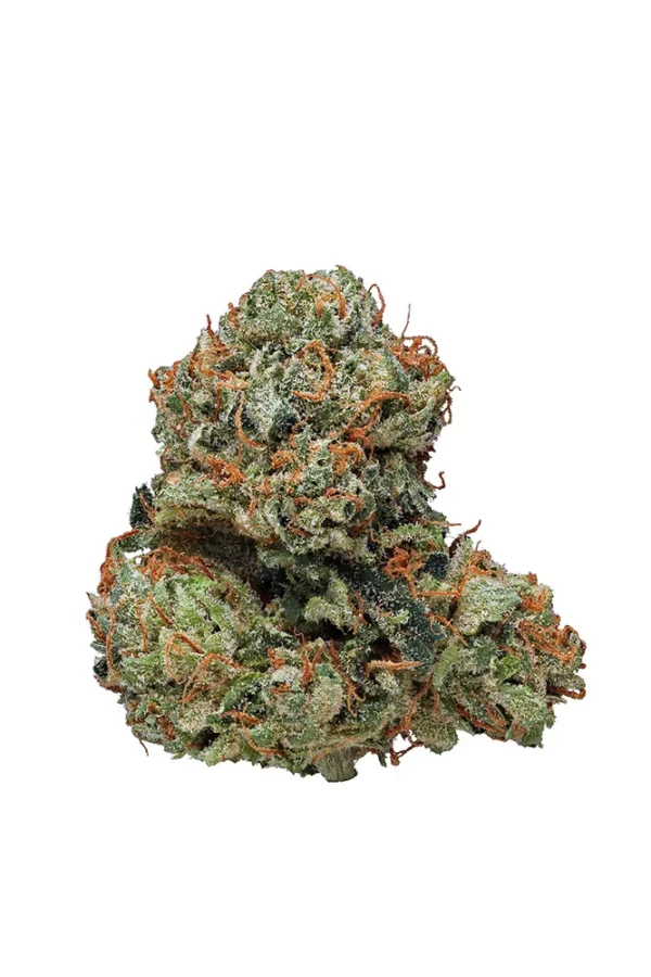 Kosher Kush Cannabis Seeds - Image 2