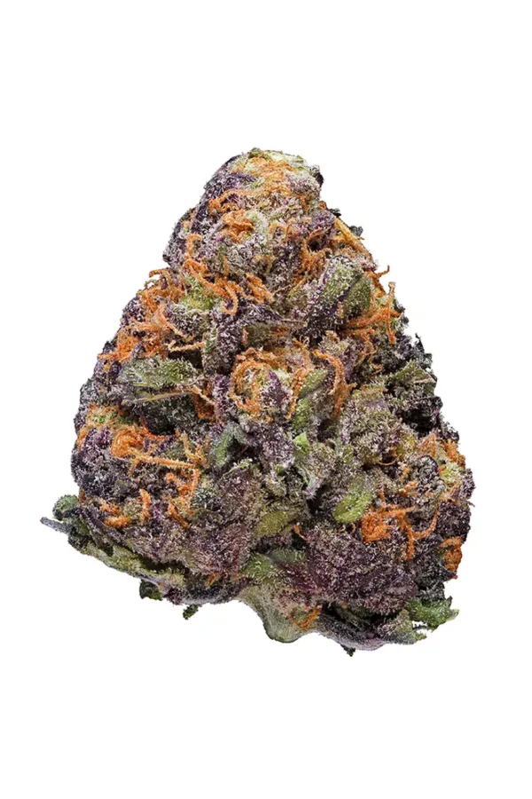 Lavender Cannabis Seeds - Image 2