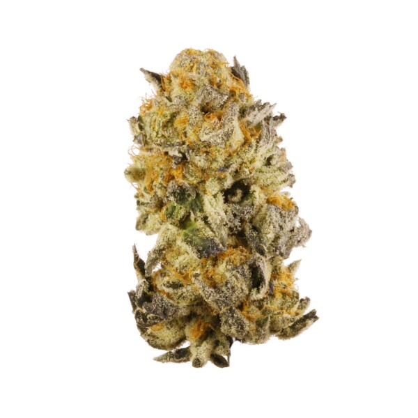 Platinum GSC Cannabis Seeds - Image 2