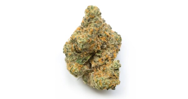 Pure Power Plant Cannabis Seeds - Image 2