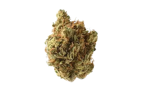 Runtz Muffin Cannabis Seeds - Image 2