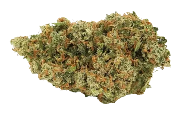 Strawberry Gorilla Cannabis Seeds - Image 2