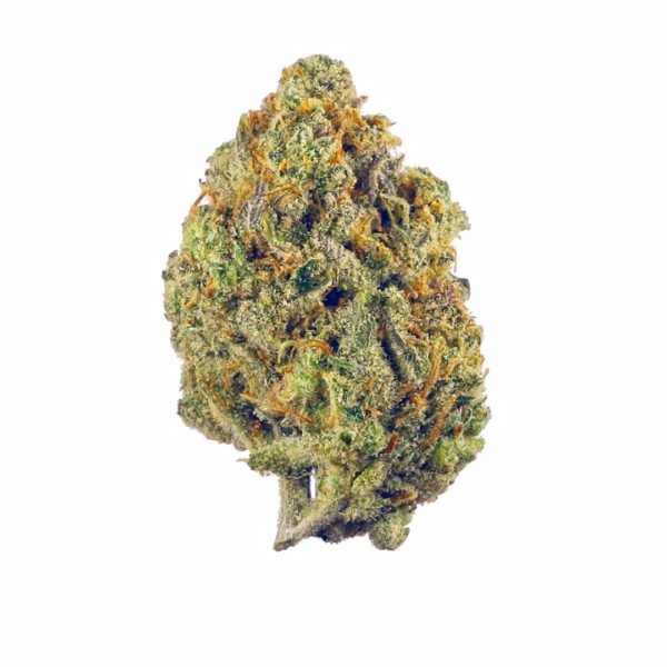 Super Silver Haze Cannabis Seeds - Image 2