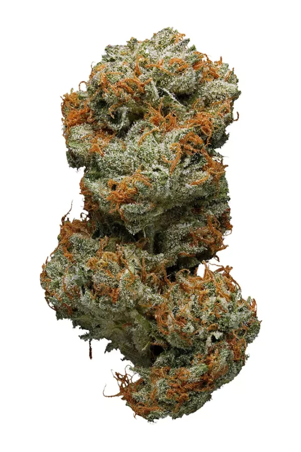 Sweet Deep Grapefruit Cannabis Seeds - Image 2