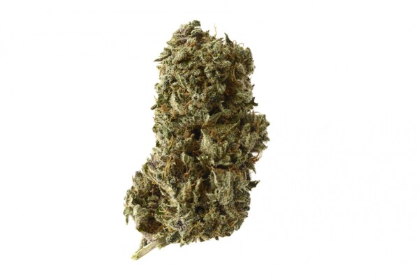 Tangerine Kush Cannabis Seeds - Image 2