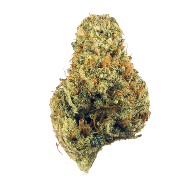 Terminator OG Cannabis Seeds - Image 2