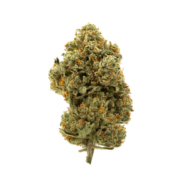 The Sister Cannabis Seeds - Image 2