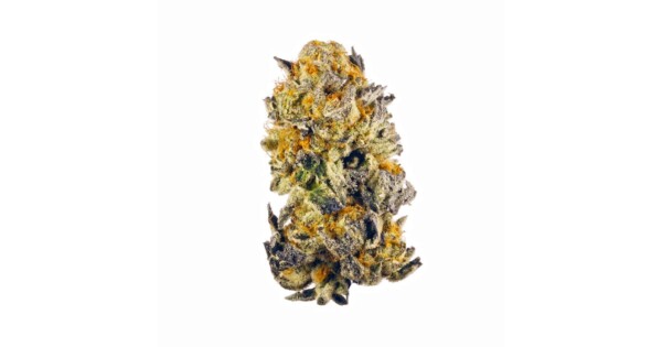 Trash Cannabis Seeds - Image 2
