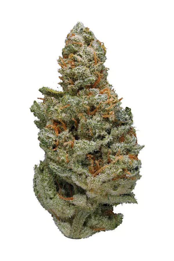Trinity Cannabis Seeds - Image 2