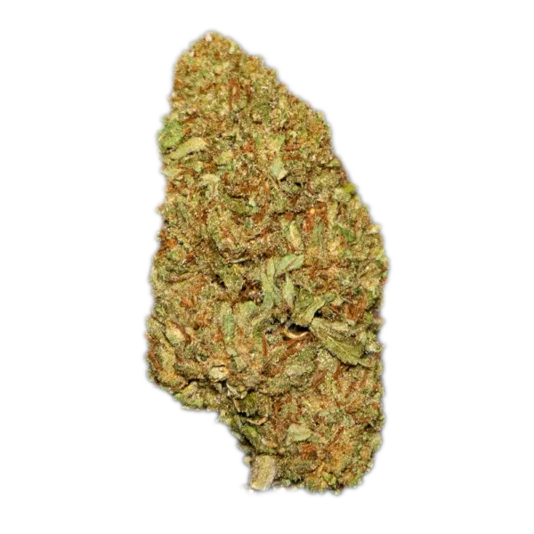 Tropic Thunder Cannabis Seeds - Image 2