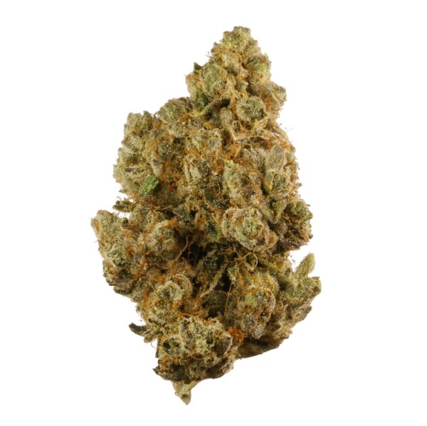 True OG Cannabis Seeds - Image 2