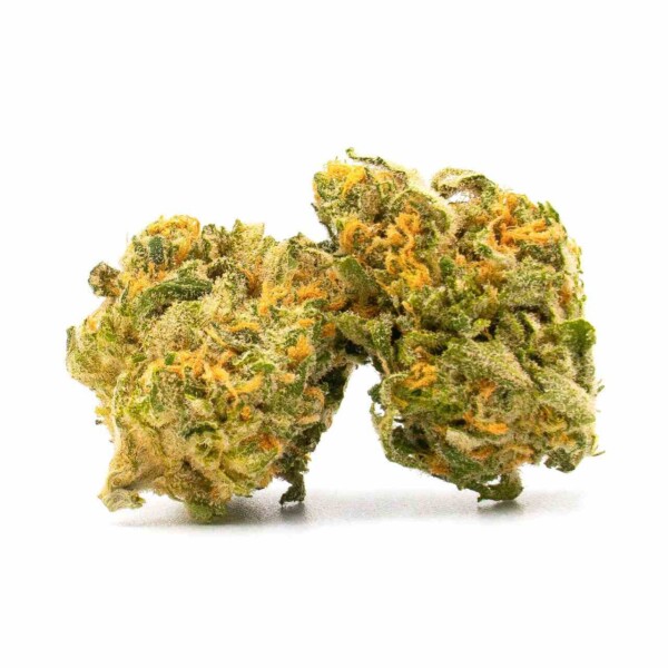 Wild Hog Cannabis Seeds - Image 2