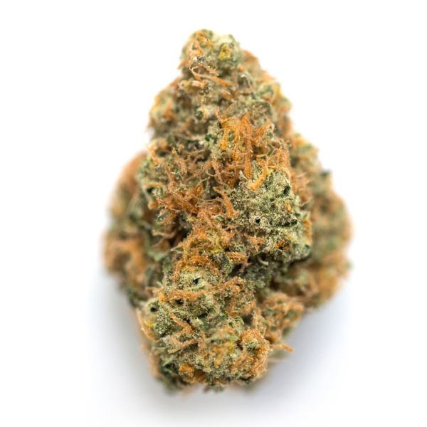 Willy’s Wonder Cannabis Seeds - Image 2
