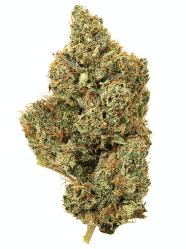 Yoda OG Cannabis Seeds - Image 2