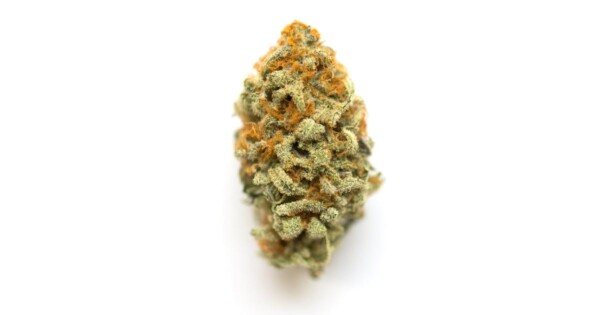 Ace of Spades Cannabis Seeds - Image 2
